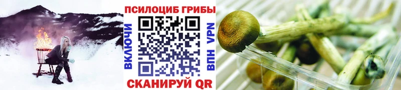 OMG tor  Спас-Деменск  Галлюциногенные грибы Psilocybine cubensis 